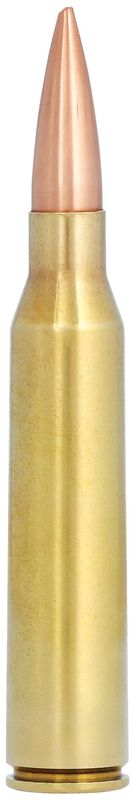 Купить Патрон для нарезного оружия FEDERAL PGM (.338 Lapua Mag.) SIERRA MATCHKING (SMK-BTHP)(250grs)(16,20г) в Алматы | Казахстан | Корган Центр