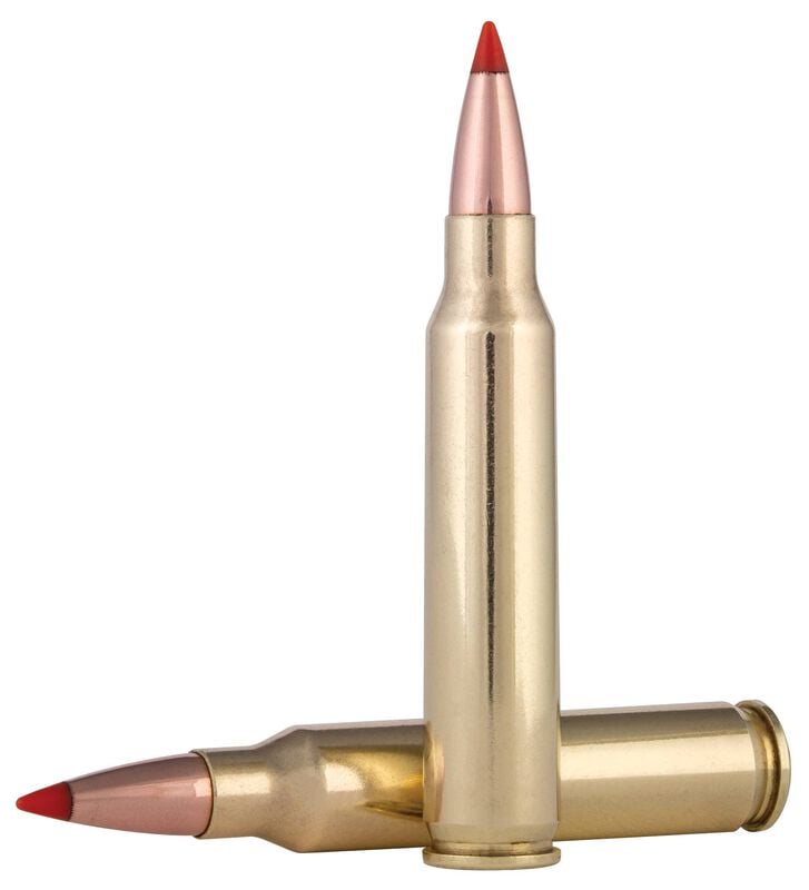 Купить Патрон для нарезного оружия FEDERAL (.223 Rem.) VARMINT & PREDATOR (Hornady V-MAX)(53grs)(3,43г) в Алматы | Казахстан | Корган Центр