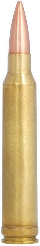 Купить Патрон для нарезного оружия FEDERAL PGM (.300 Win.Mag.) SIERRA MATCHKING (SMK-BTHP)(190grs)(12,31г) в Алматы | Казахстан | Корган Центр