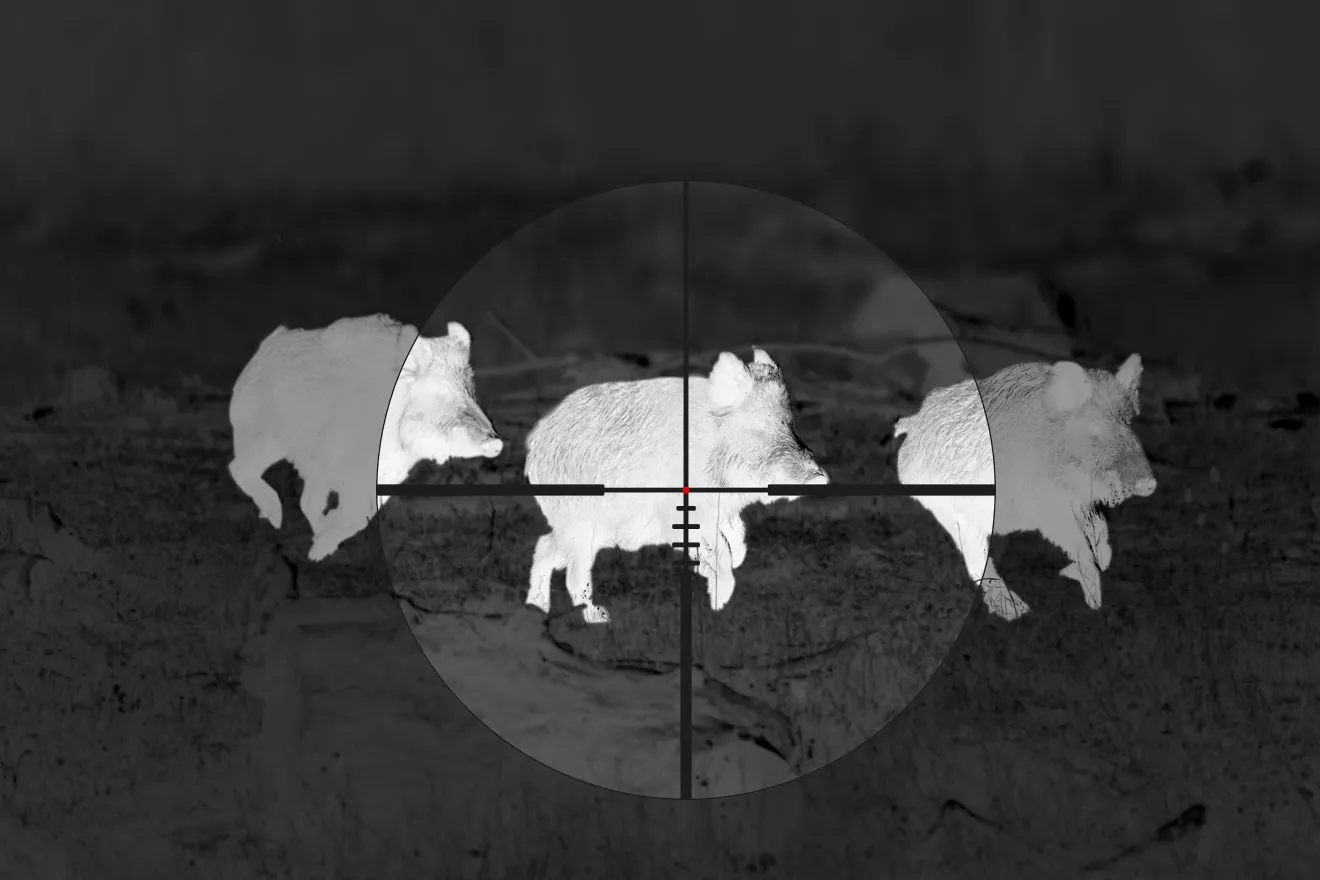 Крупный план оптического прицела с зеленым покрытием объектива, установленного на охотничьем ружье.