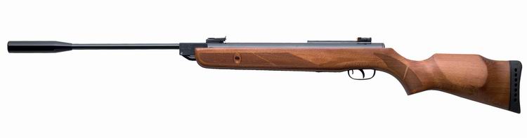 Пневматическая винтовка GAMO Мод. HUNTER-1250 купить в Алматы | Доставка по Казахстану Пневматическая винтовка GAMO Мод. HUNTER-1250 — для спортивных организаций, купить в Алматы, доставка по Казахстану