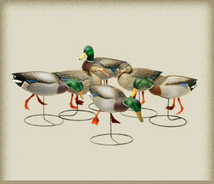 Набор подсадных уток FA Мод. GUNNER HD FIELD MALLARD для охоты в Алматы, Казахстан