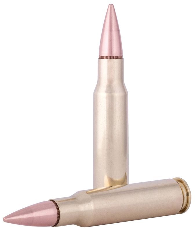 Купить Патрон для нарезного оружия FEDERAL AE (.308 Win.) BOAT-TAIL (FMJ BT)(150grs)(9,72г) в Алматы | Казахстан | Корган Центр