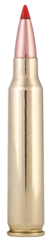 Купить Патрон для нарезного оружия FEDERAL (.223 Rem.) VARMINT & PREDATOR (Hornady V-MAX)(53grs)(3,43г) в Алматы | Казахстан | Корган Центр