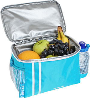 Термосумка EZETIL HOLIDAY-5 — портативный холодильник или кулер для кемпинга в Алматы