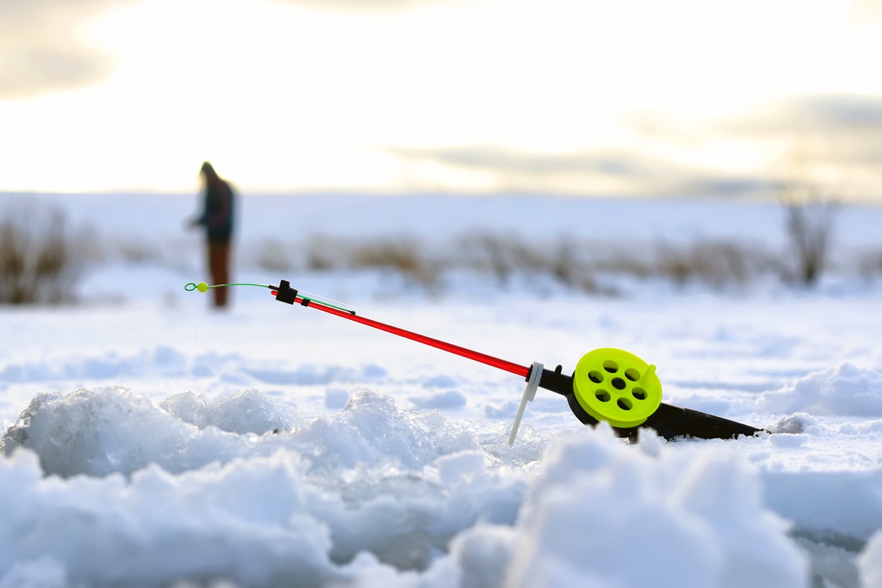 Удилища зимние