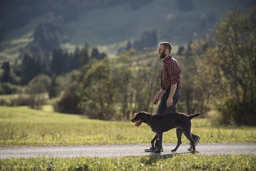 Пуловеры, рубашки, поло, майки