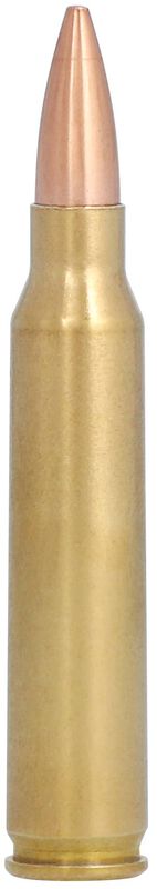 Купить Патрон для нарезного оружия FEDERAL PGM (.223 Rem.) SIERRA MATCHKING (SMK-BTHP)(69grs)(4,47г) в Алматы | Казахстан | Корган Центр