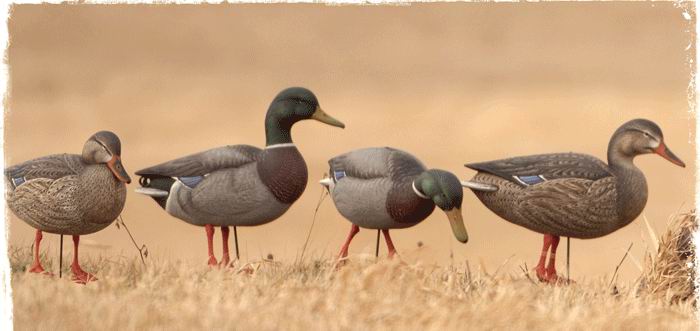 Набор подсадных уток FA Мод. GUNNER HD MALLARD FEEDERS для охоты в Алматы, Казахстан