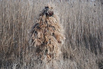 Костюм маскировочный URSUS "ХИЩНИК 3D" — одежда для охоты, рыбалки и города | KORGAN Алматы