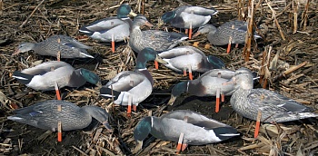 Набор подсадных уток REAL GEESE Мод. PRO SERIES II EXTREME MALLARDS для охоты в Алматы, Казахстан