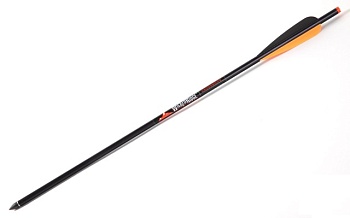 Стрела WICKED RIDGE Мод. CARBON 20" — купить в Алматы доставка по Казахстану